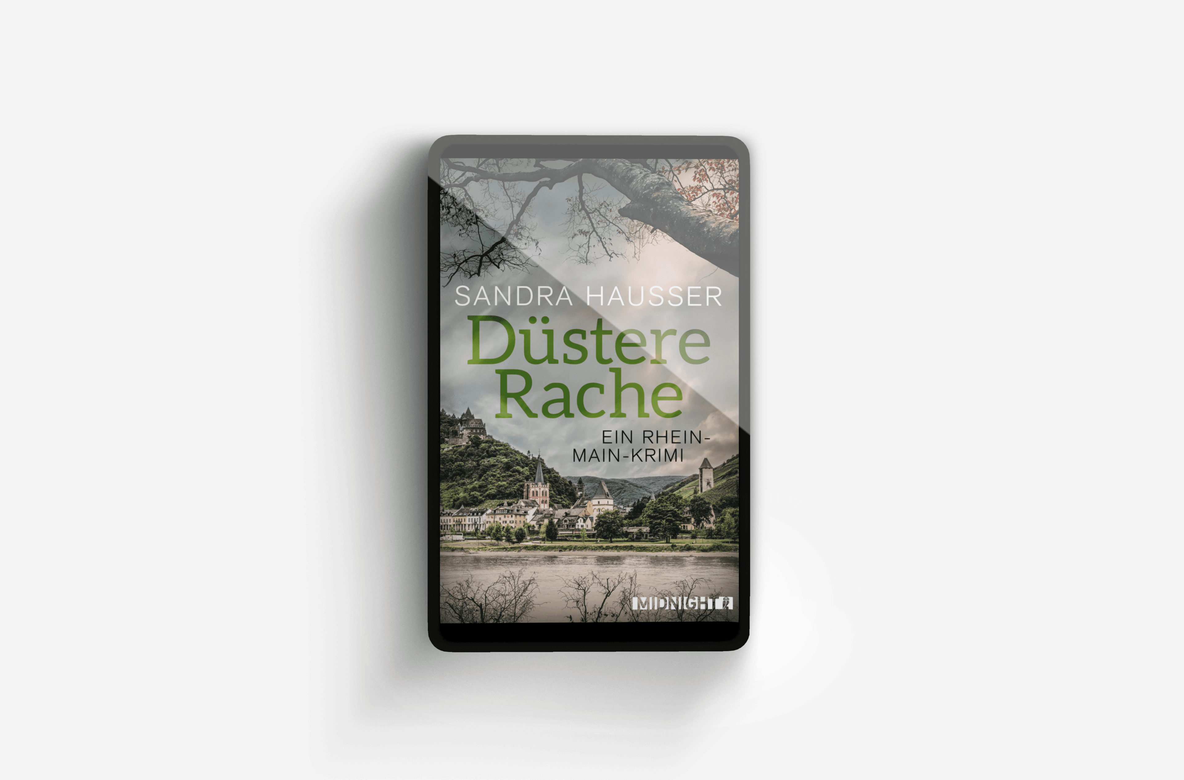 Buchcover von Düstere Rache (Rhein-Main-Krimi 3)