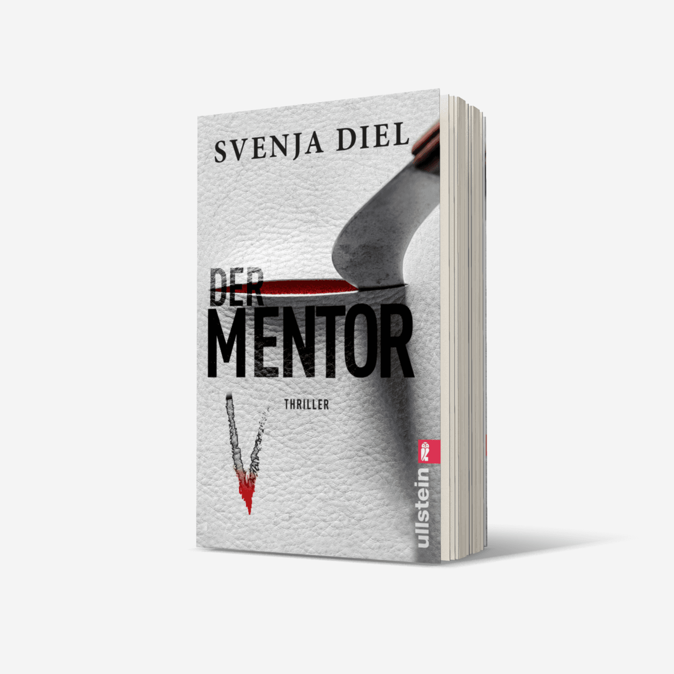 Buchcover von Der Mentor
