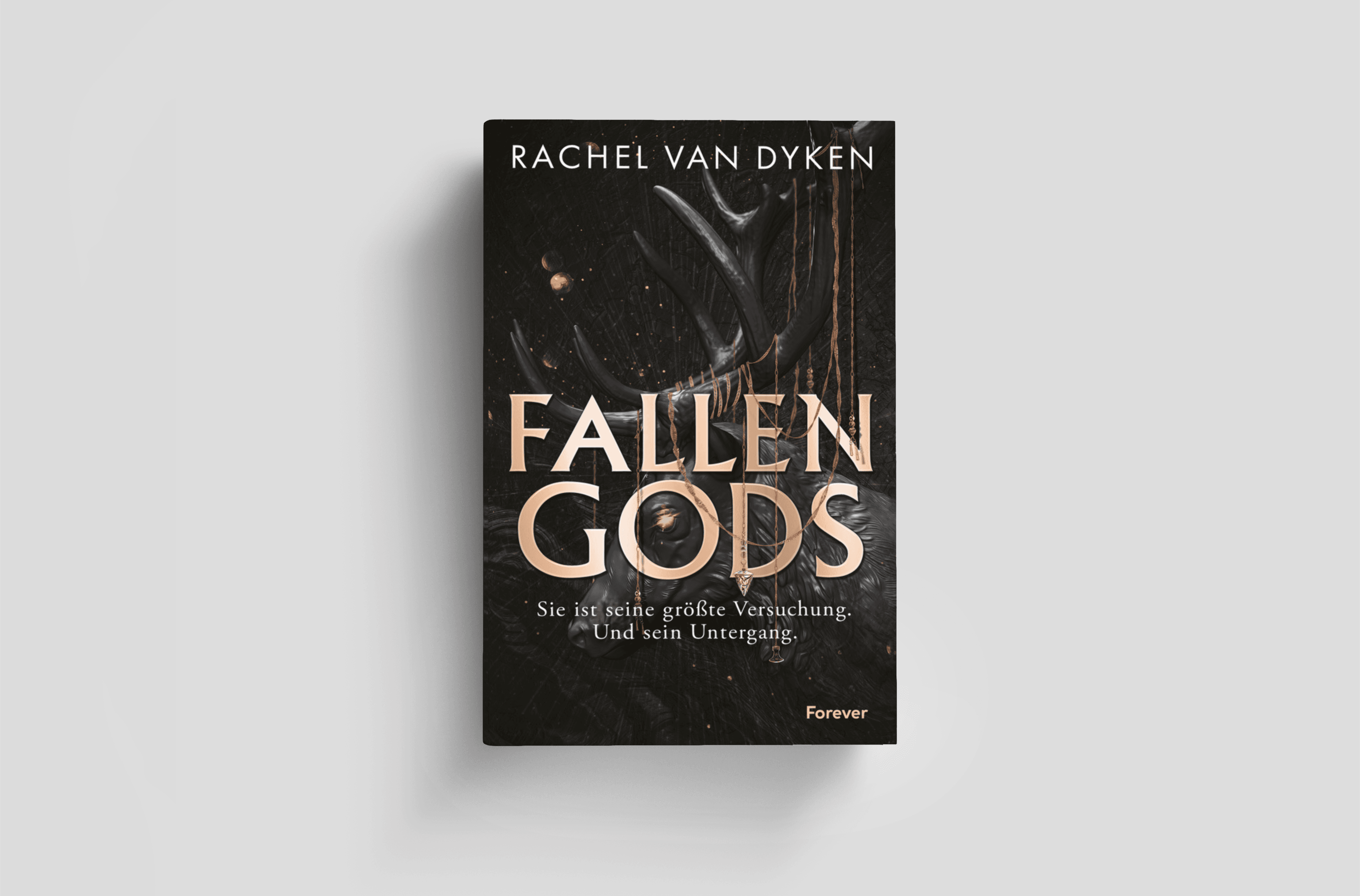 Buchcover von Fallen Gods (Fallen Gods 1)