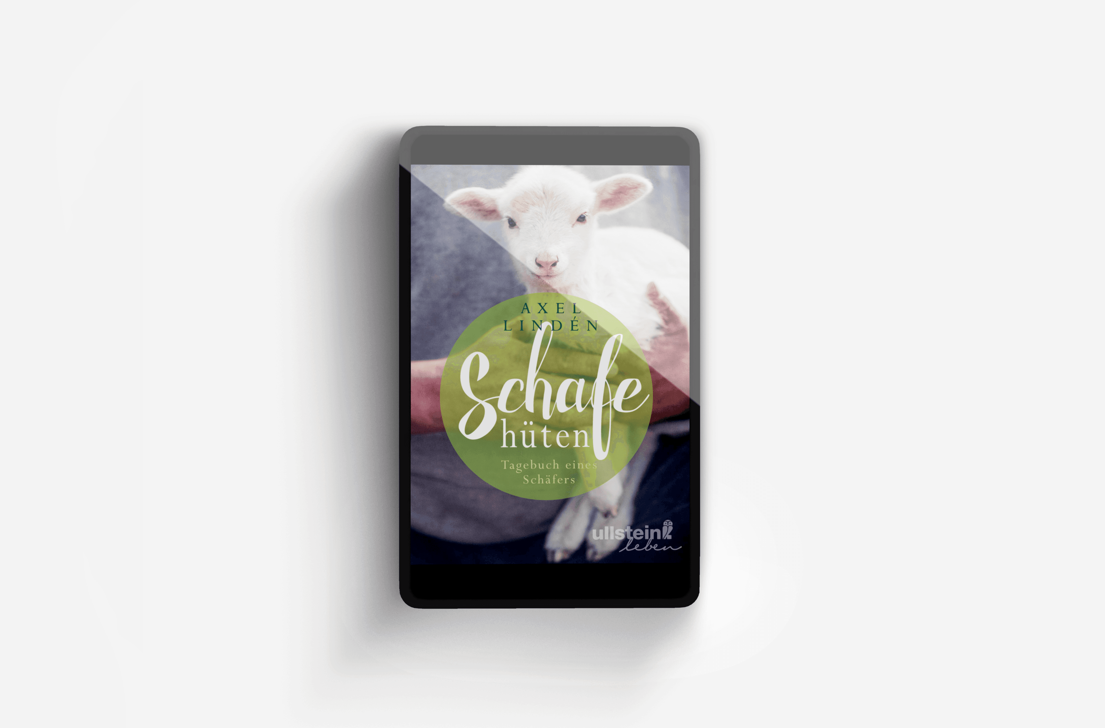 Buchcover von Schafe hüten
