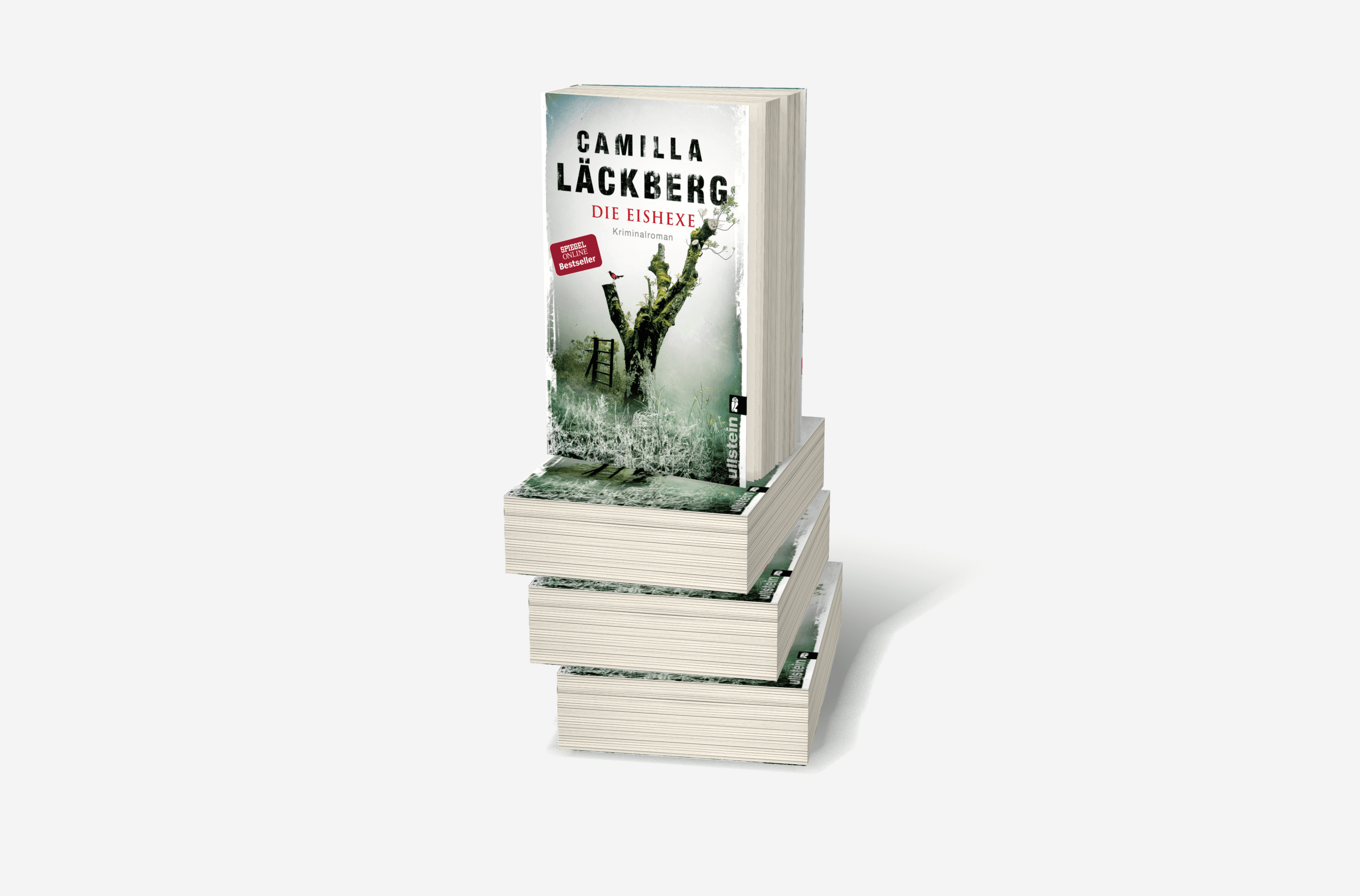 Buchcover von Die Eishexe (Ein Falck-Hedström-Krimi 10)