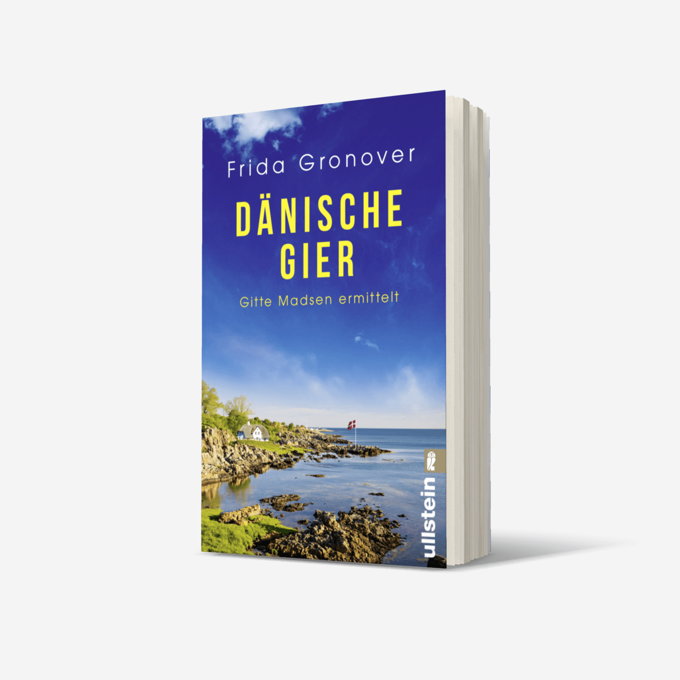 Buchcover von Dänische Gier (Ein Gitte-Madsen-Krimi 3)