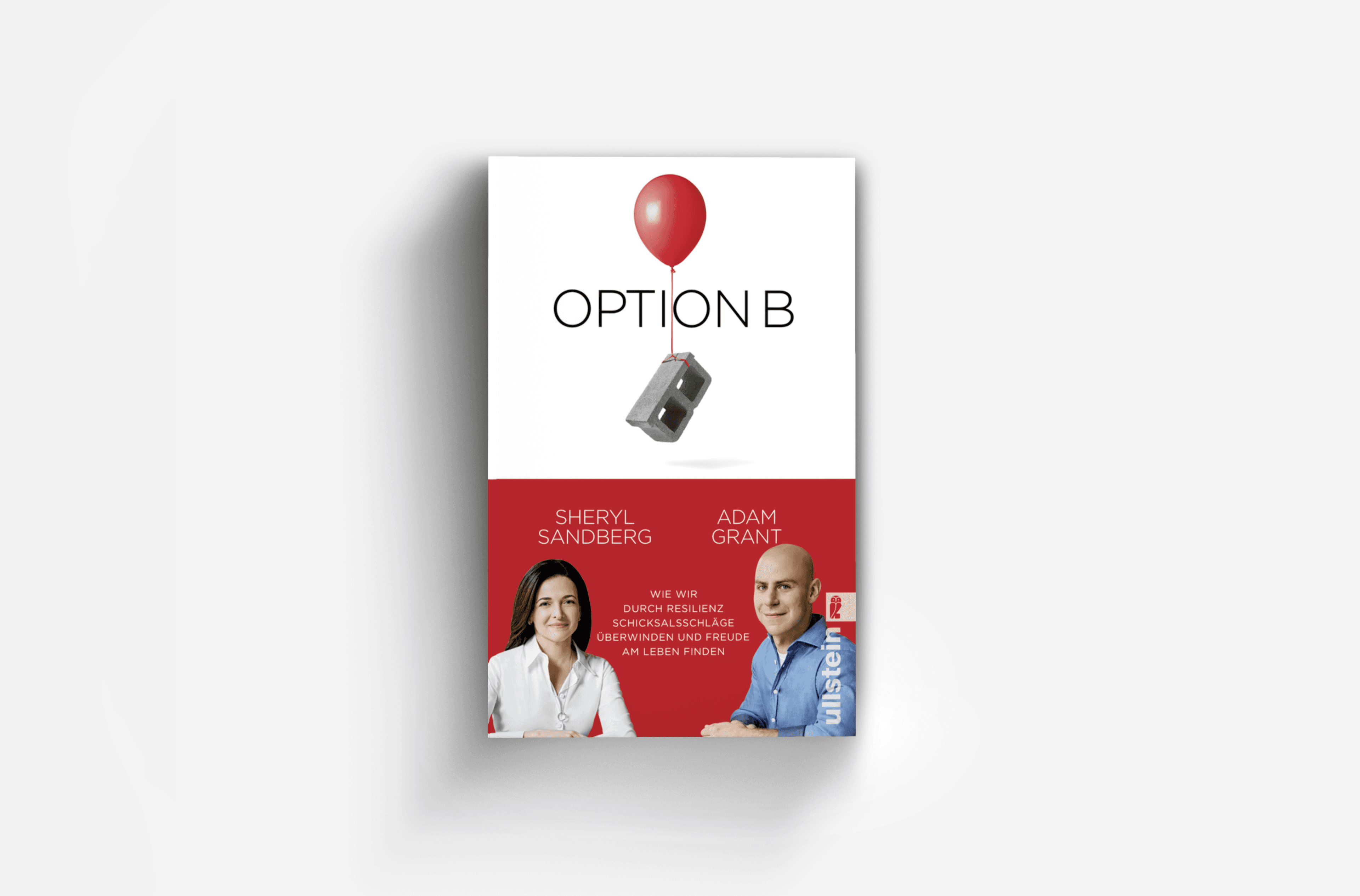 Buchcover von Option B
