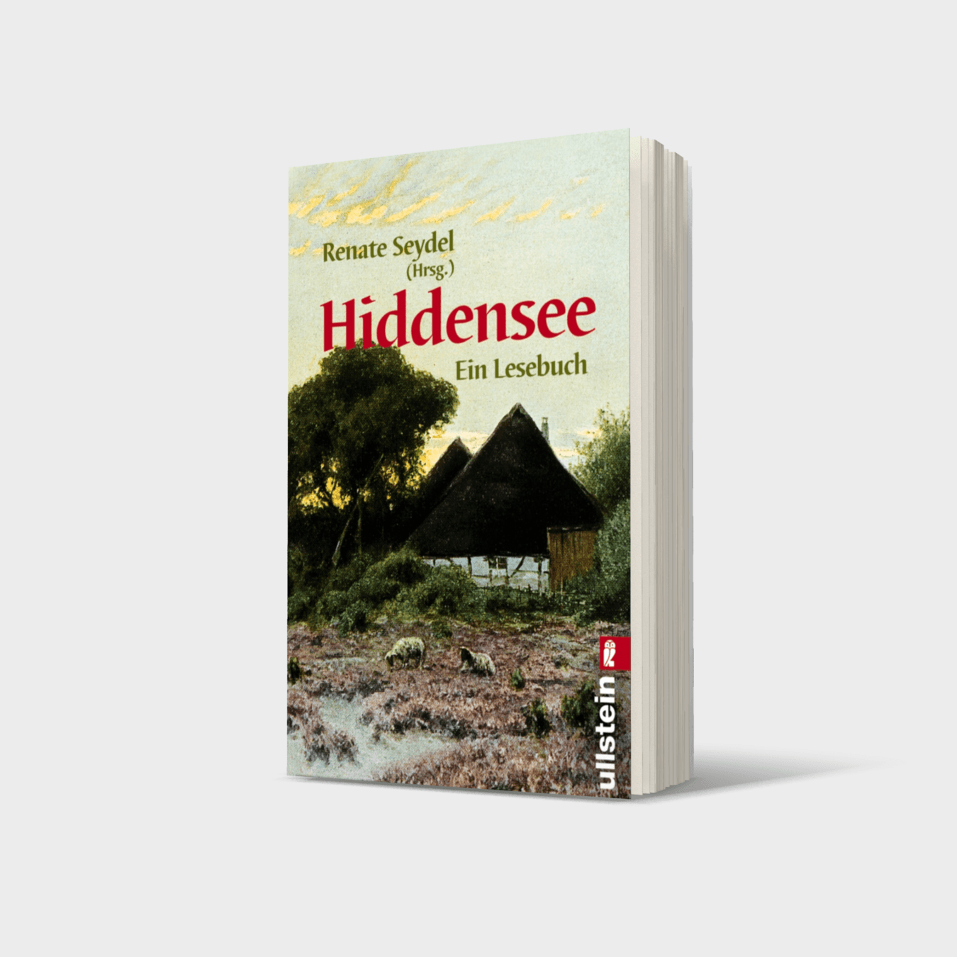 Buchcover von Hiddensee Lesebuch
