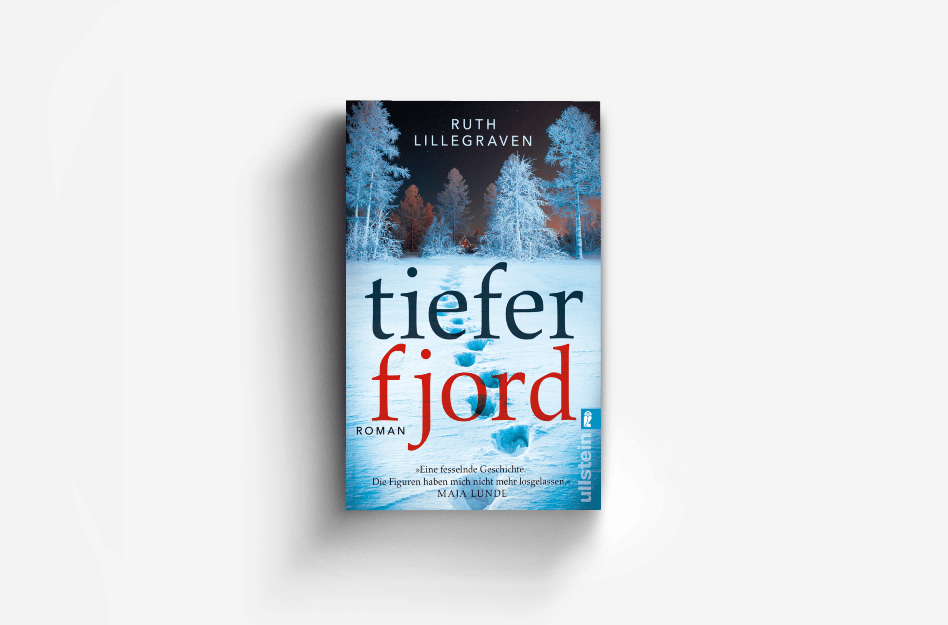Buchcover von Tiefer Fjord