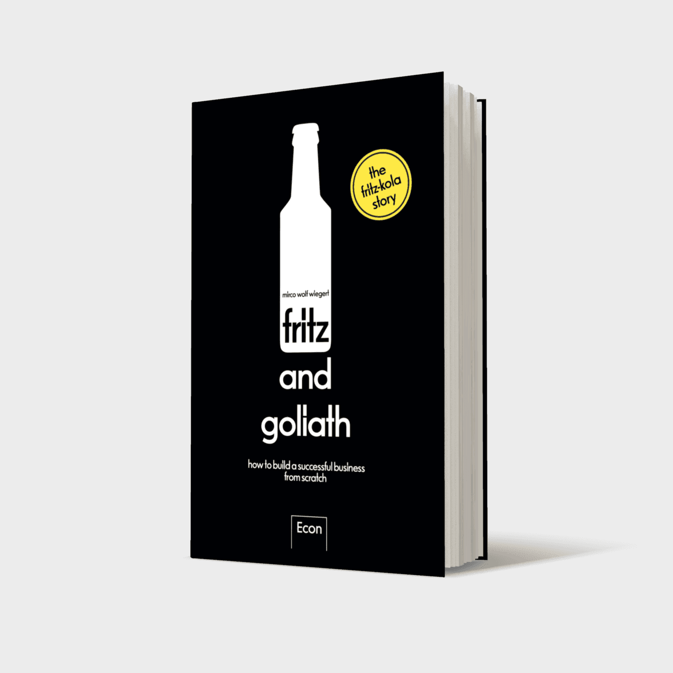 Buchcover von fritz and goliath