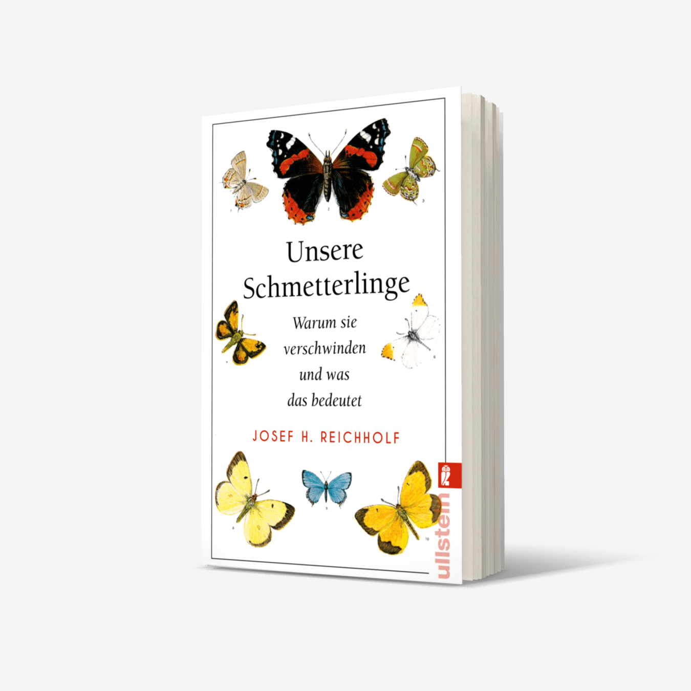Buchcover von Unsere Schmetterlinge