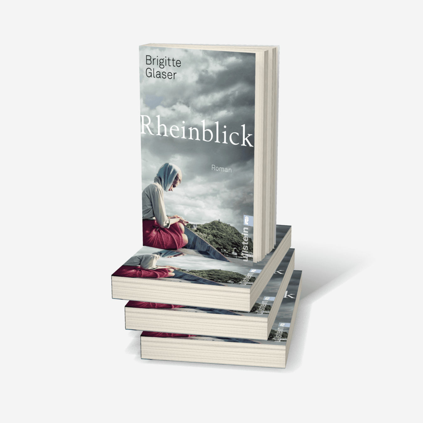 Buchcover von Rheinblick