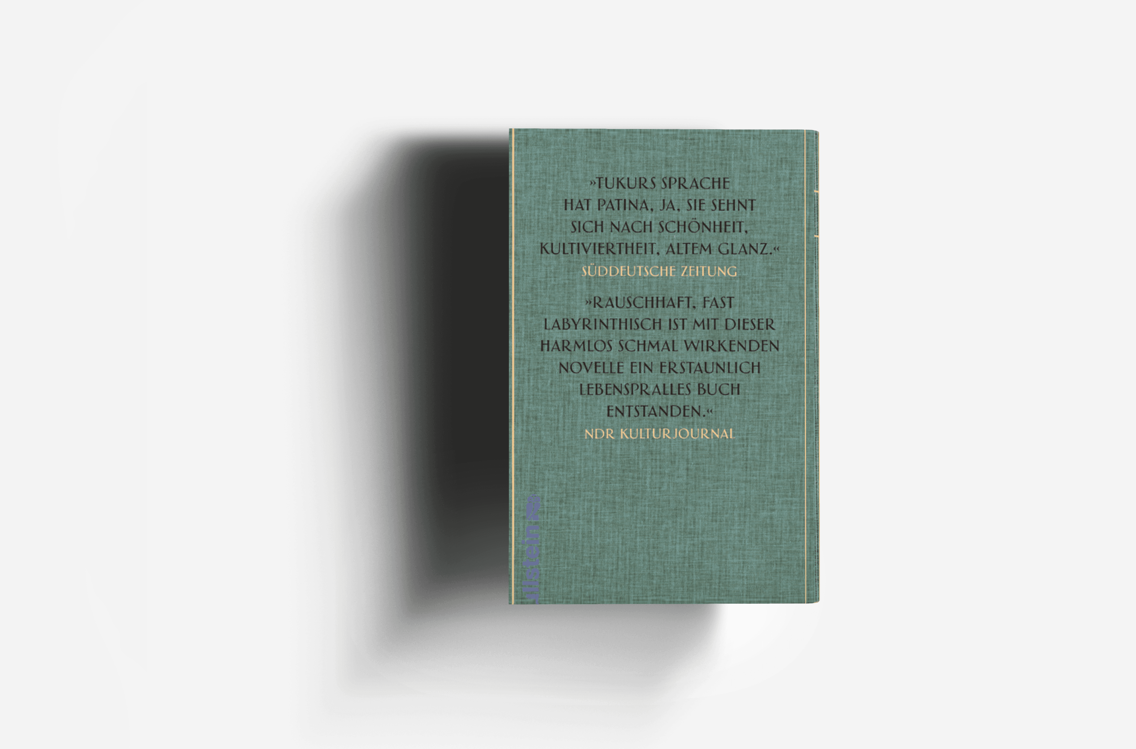 Buchcover von Die Spieluhr