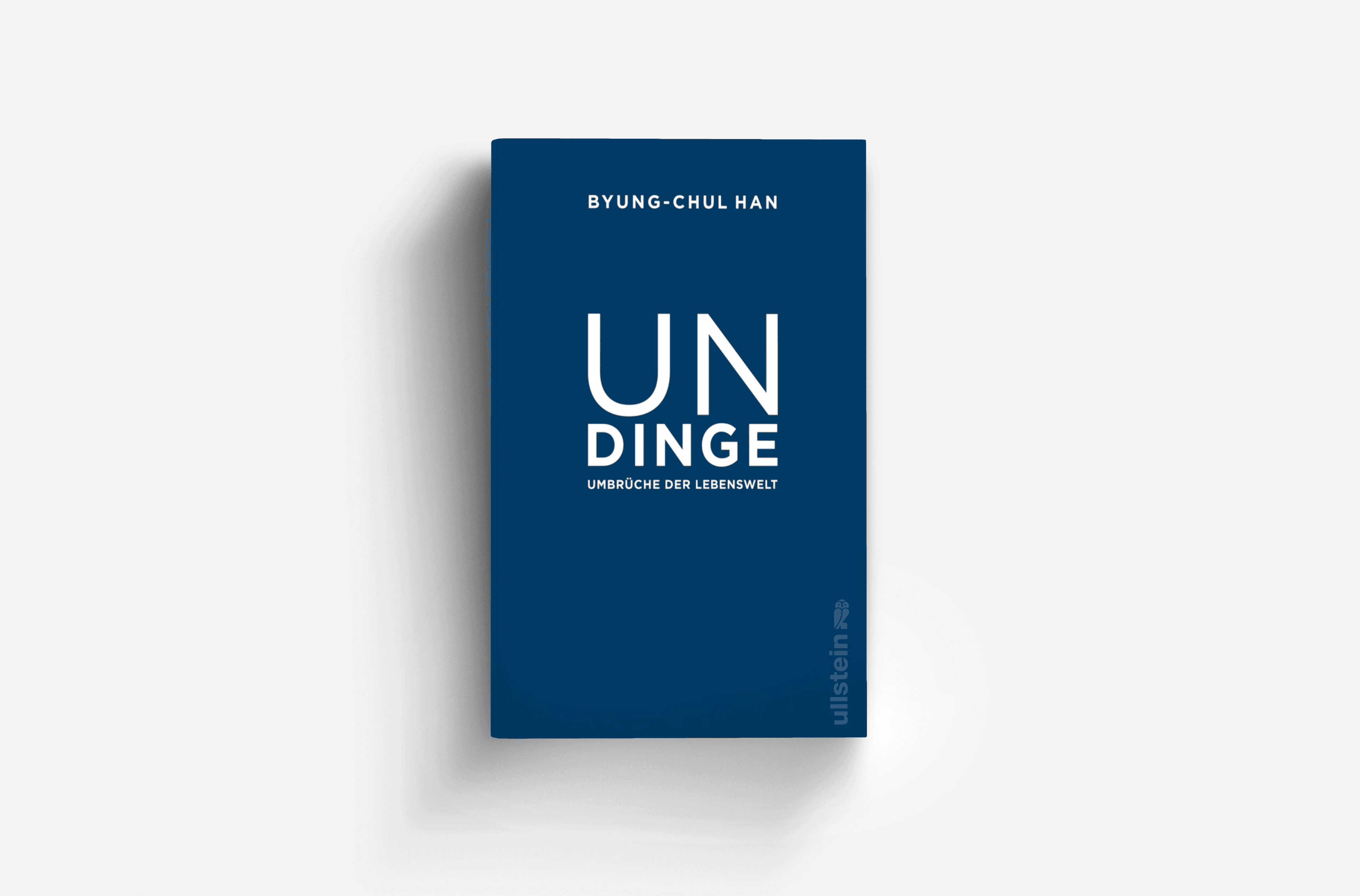 Buchcover von Undinge